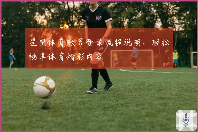 星空体育账号登录流程说明，轻松畅享体育精彩内容